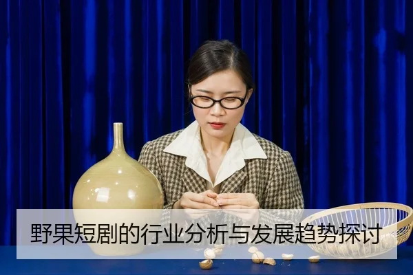 野果短剧的行业分析与发展趋势探讨